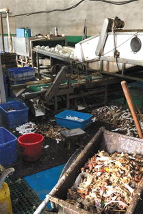 對手抹黑還是行業亂象？消毒餐具工廠曝光事件背后的博弈